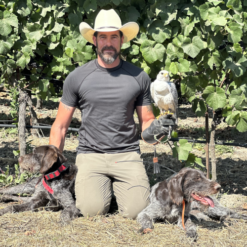 Chase Delles with his dogs and falcon